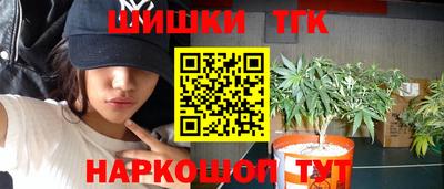 винт Донецк