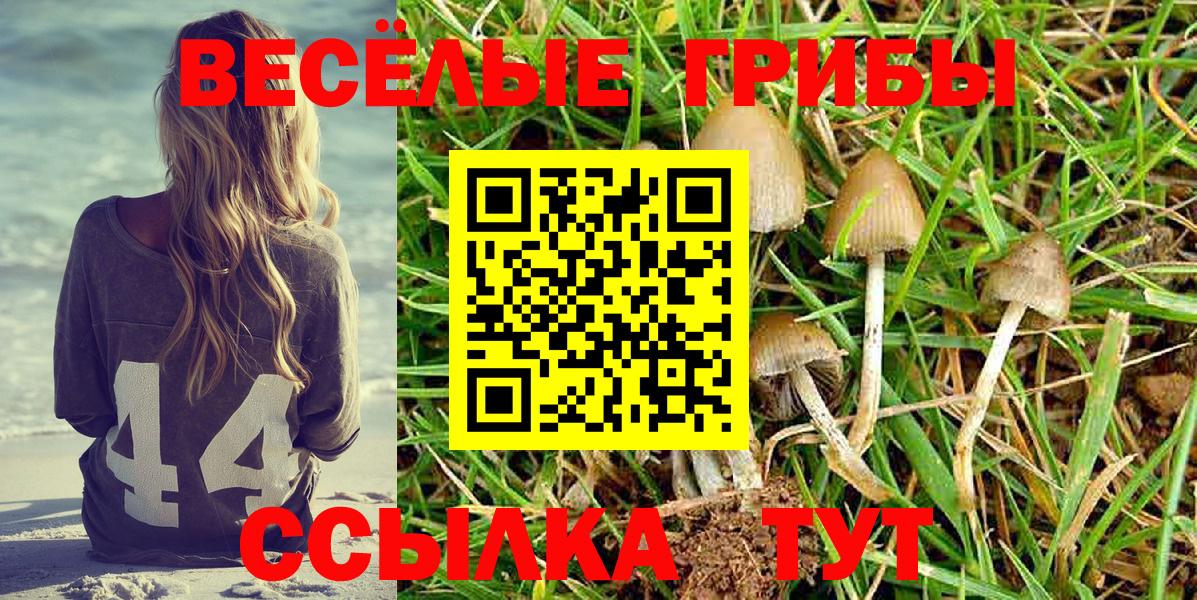 Лыткарино  Галлюциногенные грибы Psilocybine cubensis  Вход с VPN 